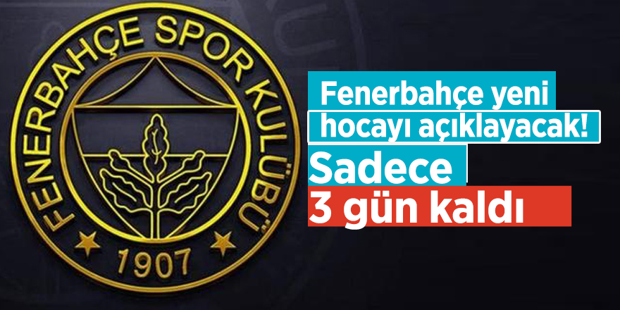 Fenerbahçe yeni hocayı açıklayacak! Sadece 3 gün kaldı