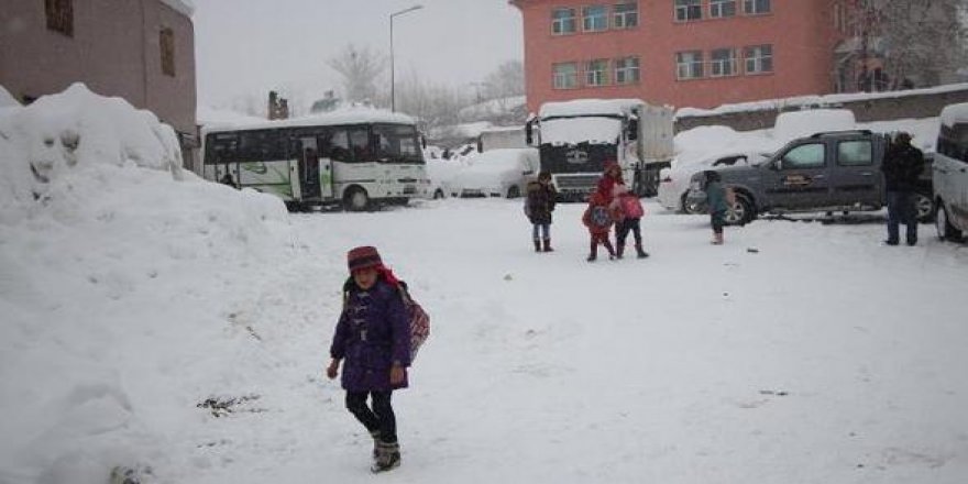 Kar etkisini arttırdı! Okullar 2 gün tatil edildi