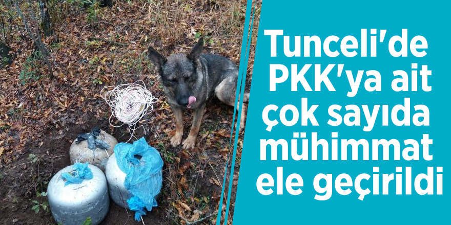 Tunceli'de PKK'ya ait çok sayıda mühimmat ele geçirildi