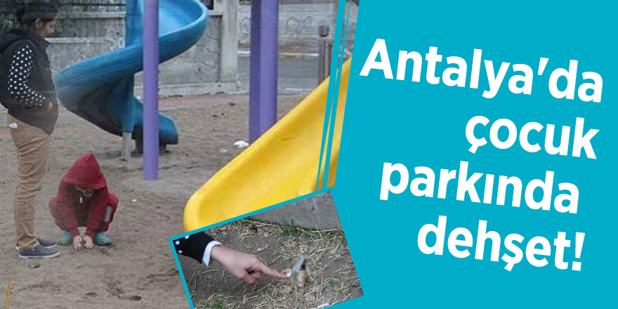 Antalya'da çocuk parkında dehşet!