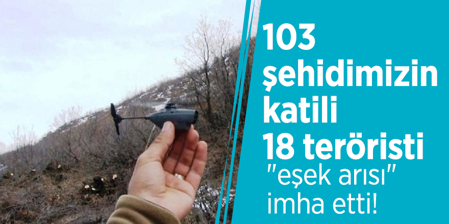 103 şehidimizin katili 18 teröristi "eşek arısı" imha etti!