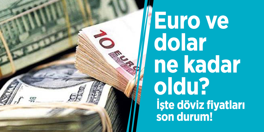 Euro ve dolar ne kadar oldu? İşte döviz fiyatları son durum!