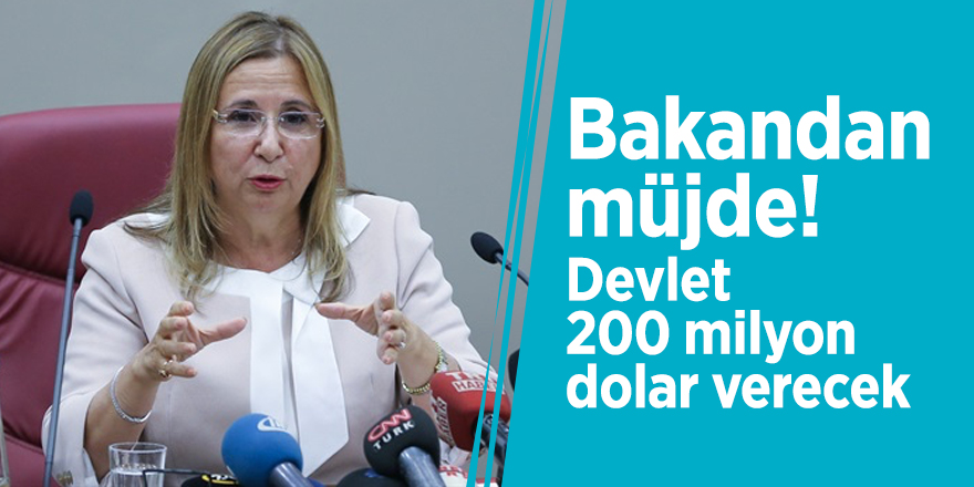 Bakandan müjde! Devlet 200 milyon dolar verecek