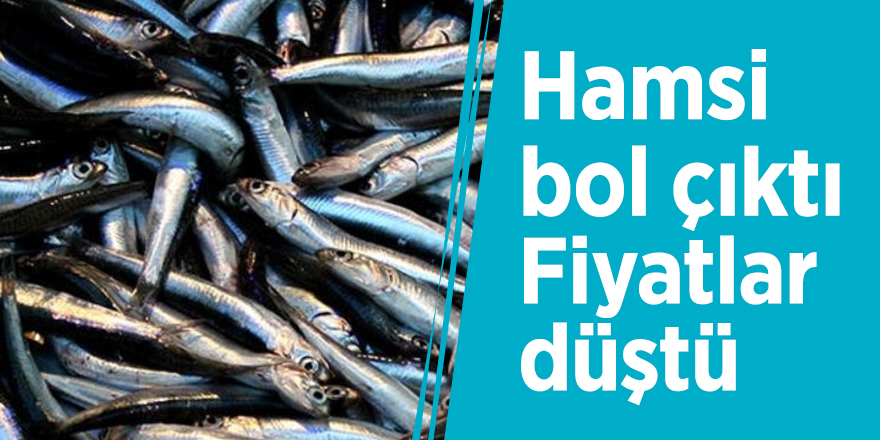 Hamsi bol çıktı, fiyatlar düştü