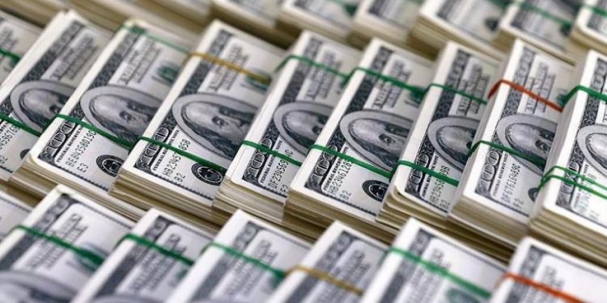 AB’den dolar hamlesi! Hedefi açıkladı