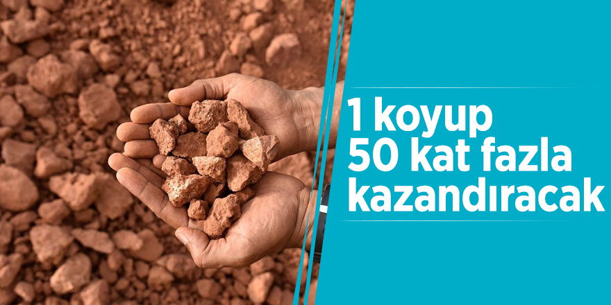 1 koyup 50 kat fazla kazandıracak