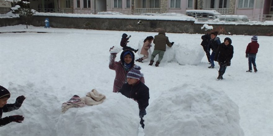 Şiddetli kar nedeniyle o şehirlerde okullar tatil edildi