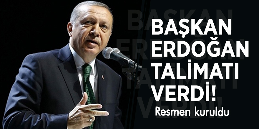 Başkan Erdoğan talimatı verdi! Resmen kuruldu