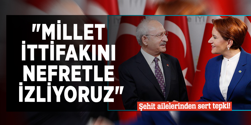 Şehit ailelerinden sert tepki! "Millet ittifakını nefretle izliyoruz"