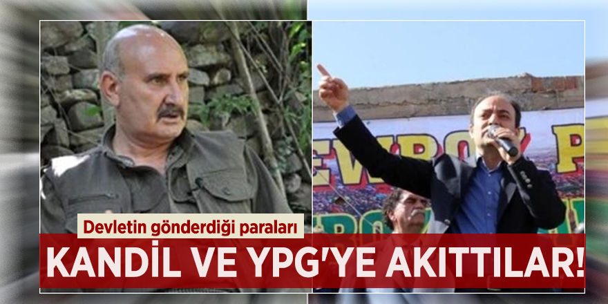 Devletin gönderdiği paraları Kandil ve YPG'ye akıttılar!