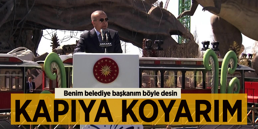 Başkan Erdoğan: Böyle yapanı kapıya koyarım