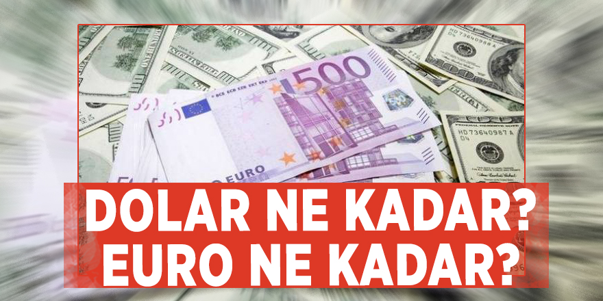 Dolar ne kadar? Euro ne kadar? Güncel döviz fiyatları