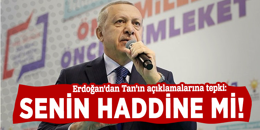 Erdoğan'dan Tan'ın açıklamalarına tepki: Senin haddine mi!