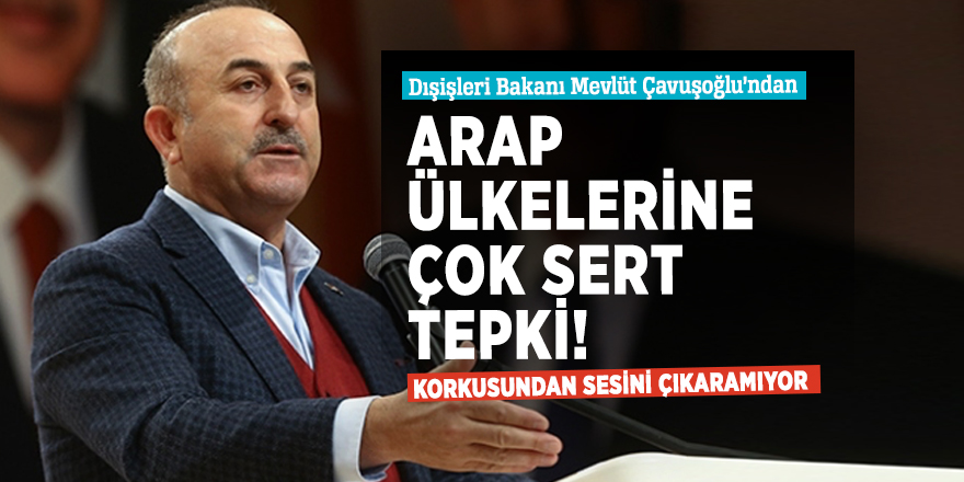 Türkiye'den Arap ülkelerine çok sert tepki!