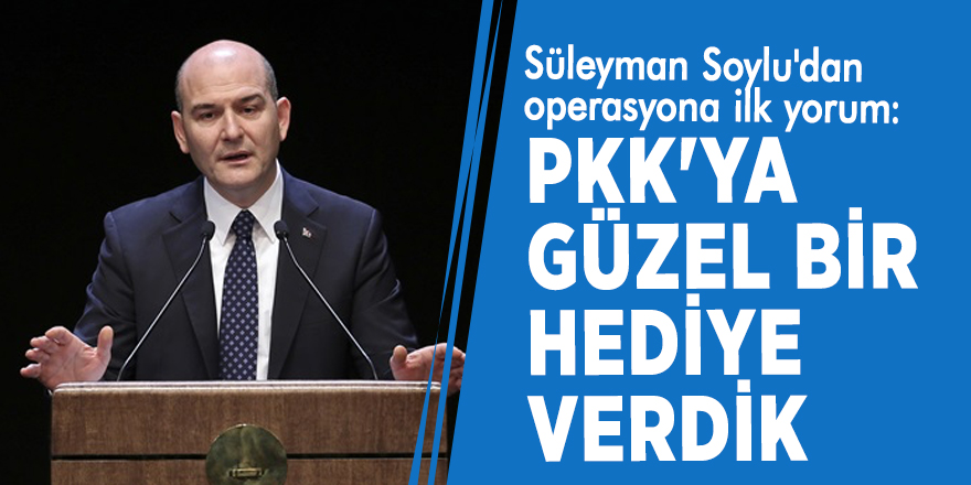 Süleyman Soylu: PKK'ya güzel bir hediye verdik