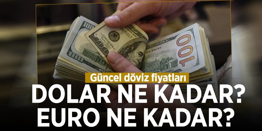 Dolar ne kadar? Euro ne kadar? Güncel döviz fiyatları