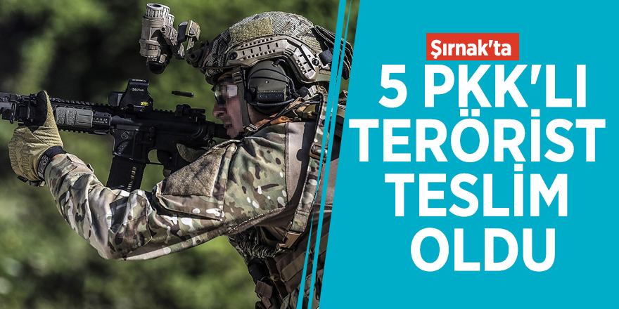 Şırnak'ta 5 PKK'lı terörist teslim oldu