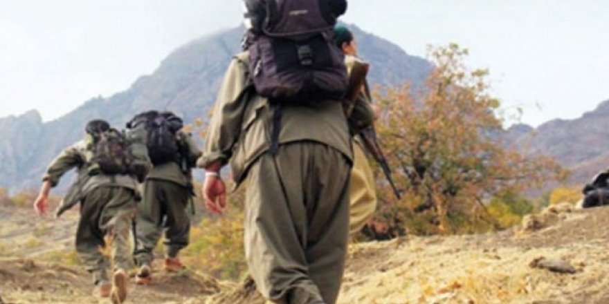 PKK elebaşlarından Mehmet Soysüren etkisiz hale getirildi