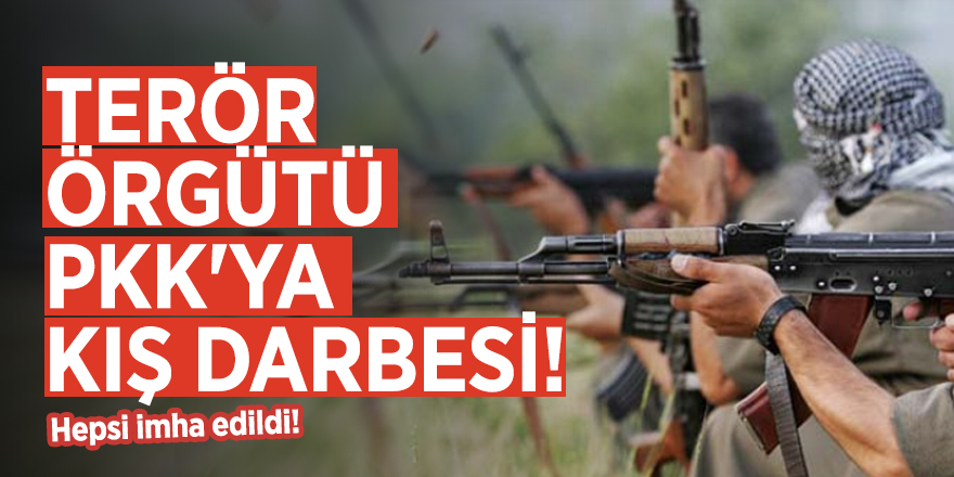 Terör örgütü PKK'ya kış darbesi! Hepsi imha edildi