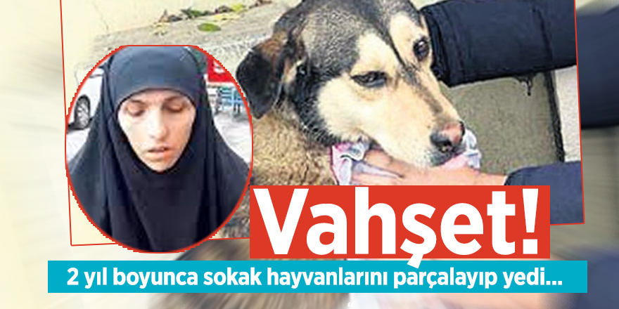 Vahşet! 2 yıl boyunca sokak hayvanlarını parçalayıp yedi...