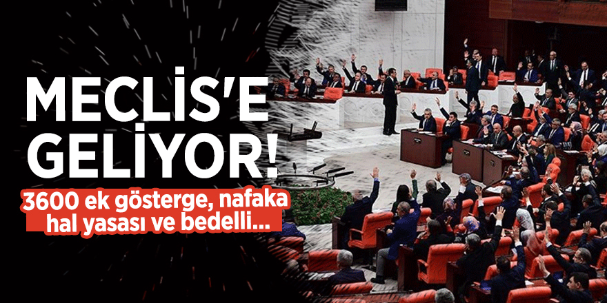 Meclis'e geliyor! 3600 ek gösterge, nafaka, hal yasası ve bedelli