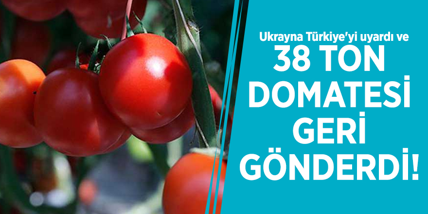 Ukrayna Türkiye'yi uyardı ve 38 ton domatesi geri gönderdi!
