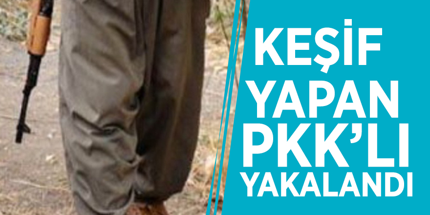 Keşif yapan PKK’lı yakalandı!