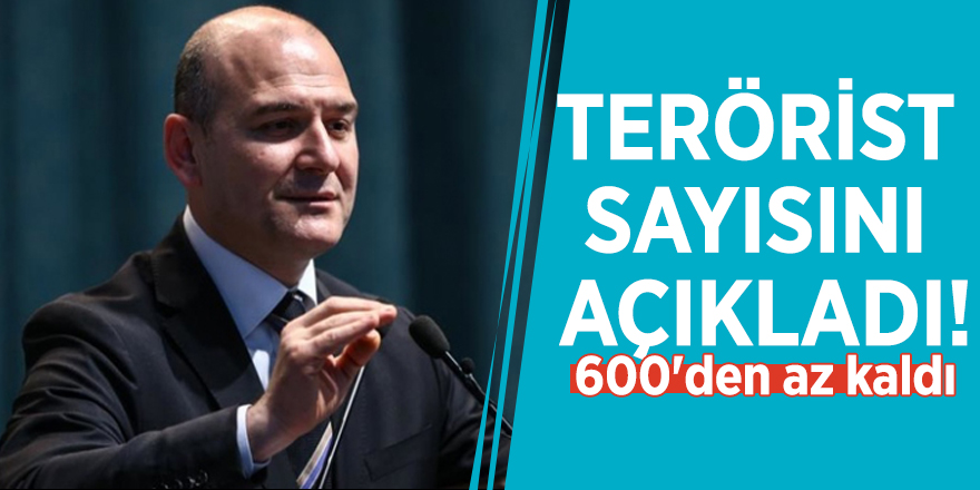 Bakan Soylu terörist sayısını açıkladı!