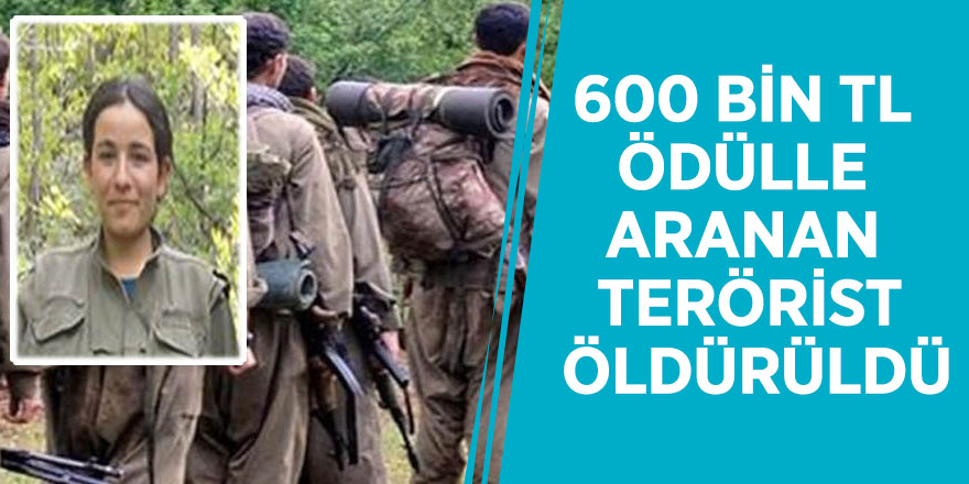600 bin TL ödülle aranan terörist öldürüldü