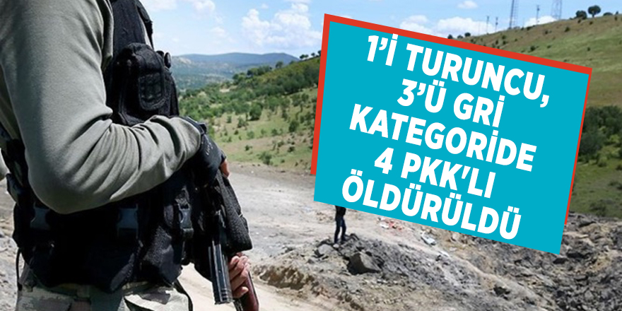 İçişleri Bakanlığı açıkladı! 1’i Turuncu, 3’ü Gri kategoride 4 PKK'lı öldürüldü