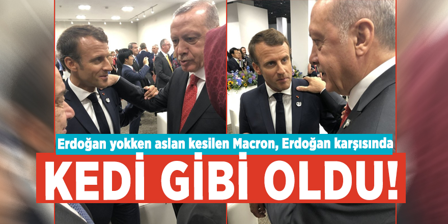 Erdoğan yokken aslan kesilen Macron, Erdoğan karşısında kedi gibi oldu!