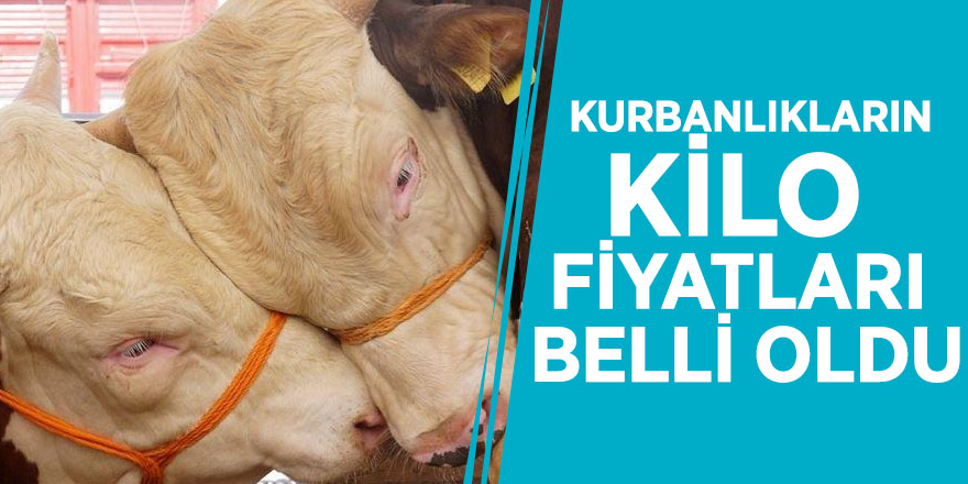 Kurbanlıkların kilo fiyatları belli oldu