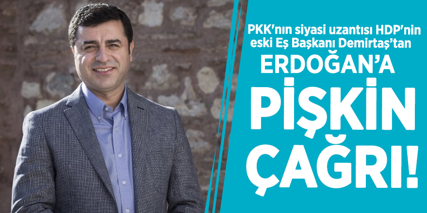 Selahattin Demirtaş'tan Başkan Erdoğan'a pişkin çağrı!