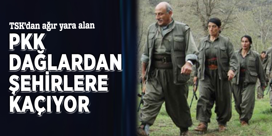 TSK’dan ağır yara alan PKK dağlardan şehirlere kaçıyor