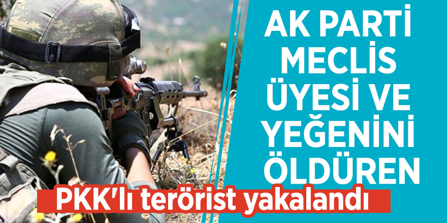 AK Parti Meclis Üyesi ve yeğenini öldüren PKK'lı terörist yakalandı