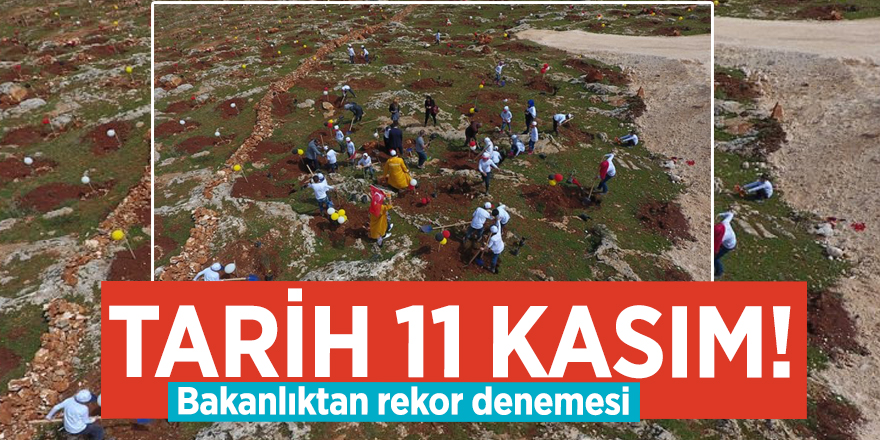 Tarih 11 Kasım! Bakanlıktan rekor denemesi