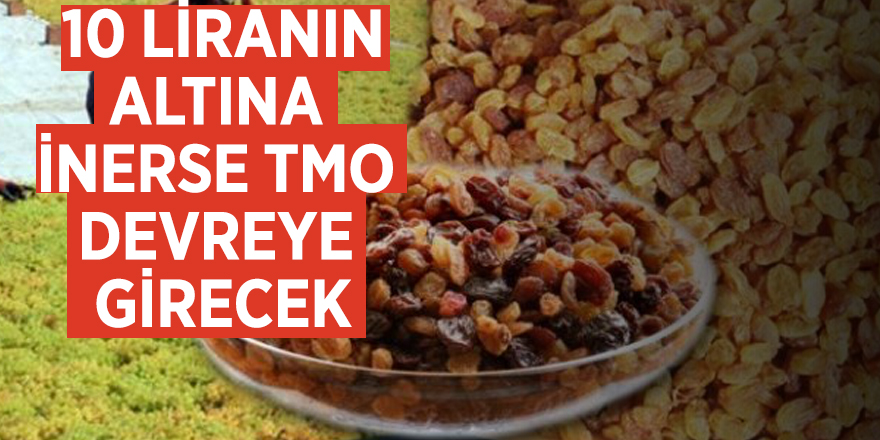 Bakan Pakdemirli: 10 liranın altına inerse TMO devreye girecek