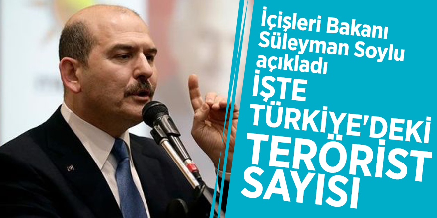 Soylu açıkladı! İşte Türkiye'deki terörist sayısı