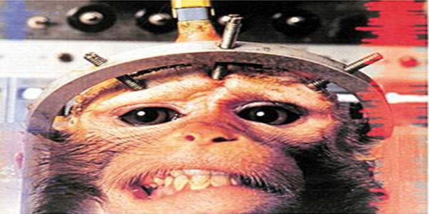 Hayvanları ölümden kurtaran icat! Türkler yaptı