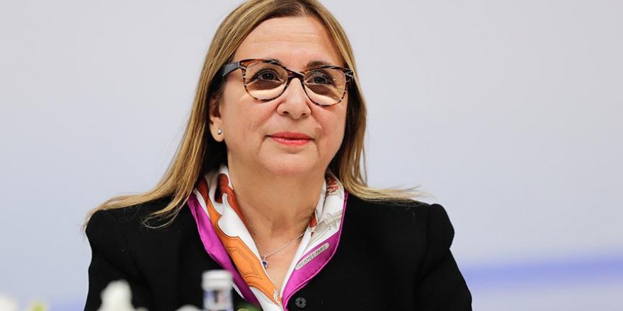 Bakan Pekcan açıkladı! 17 ülkede kuruyoruz