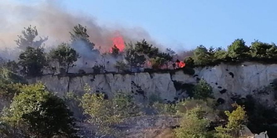 Çanakkale'de orman yangını! Havadan ve karadan müdahale ediliyor