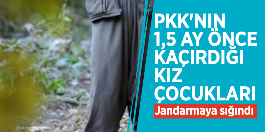 PKK'nın 1,5 ay önce kaçırdığı kız çocukları jandarmaya sığındı