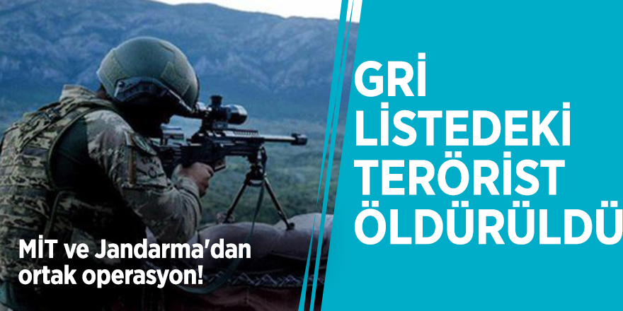 MİT ve Jandarma'dan ortak operasyon! Gri listedeki terörist öldürüldü