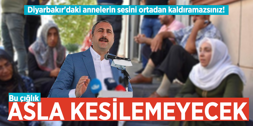 Bakan Gül: Bu çığlık asla kesilemeyecek
