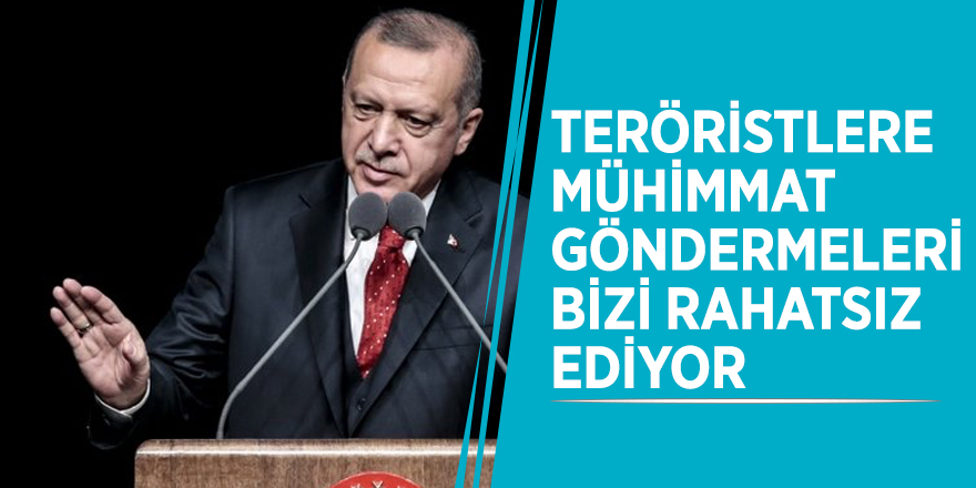 Başkan Erdoğan: "Teröristlere mühimmat göndermeleri bizi rahatsız ediyor"