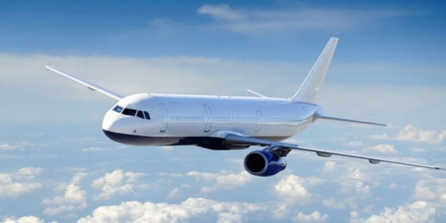 Almanya'da türbülans paniği! Yaralılar var