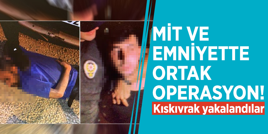 MİT ve emniyetten ortak operasyon! Yakalandılar
