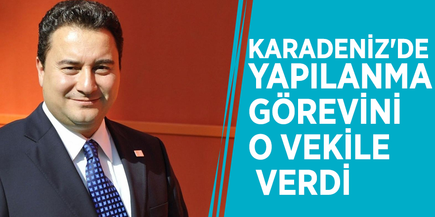 Ali Babacan Karadeniz'de yapılanma görevini o vekile verdi