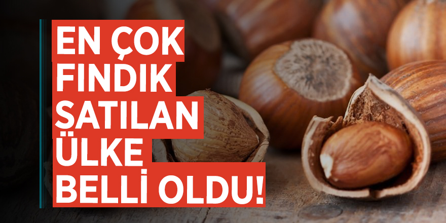 En çok fındık satılan ülke belli oldu!