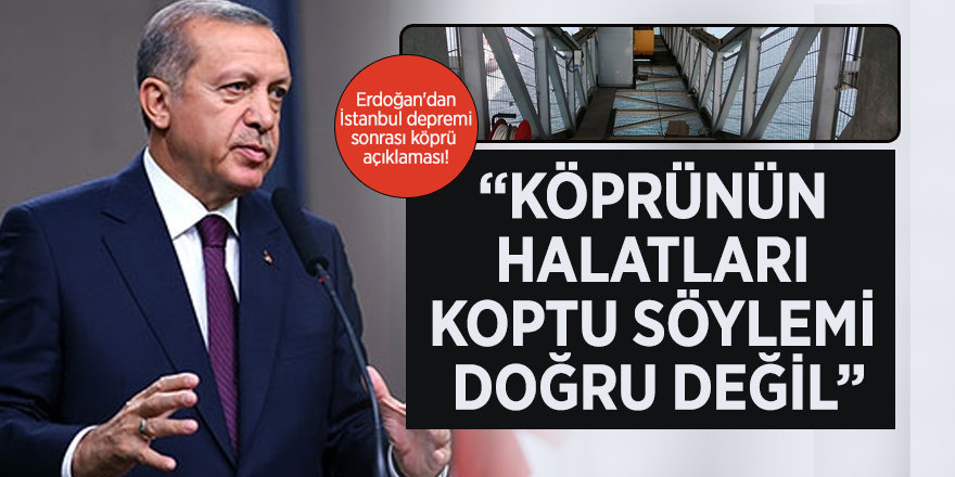 Cumhurbaşkanı Erdoğan : "Köprünün halatları koptu söylemi doğru değil"